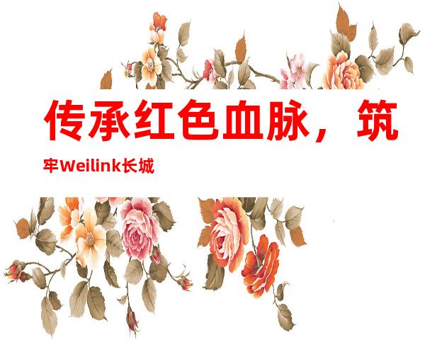 传承红色血脉，筑牢Weilink长城